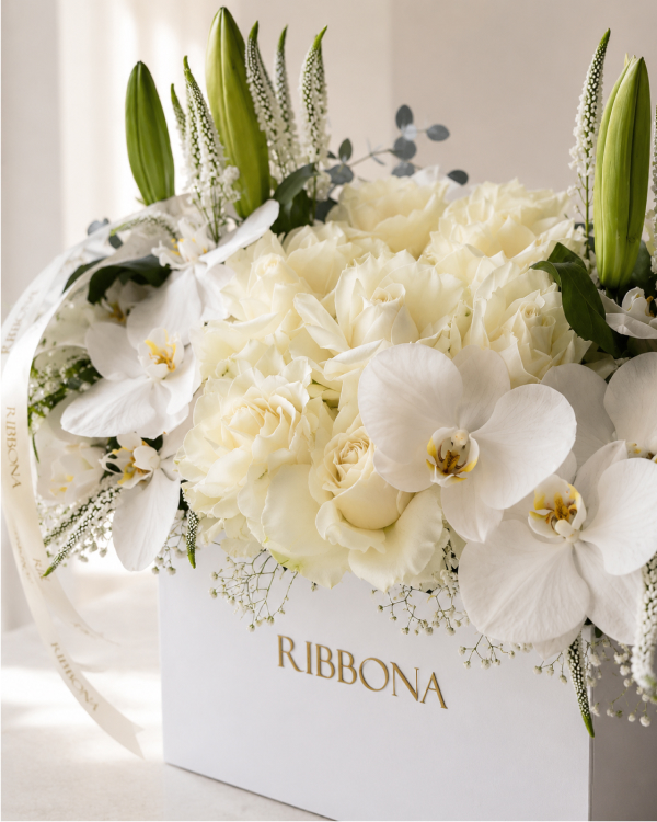 ABOUT RIBBONA - 2