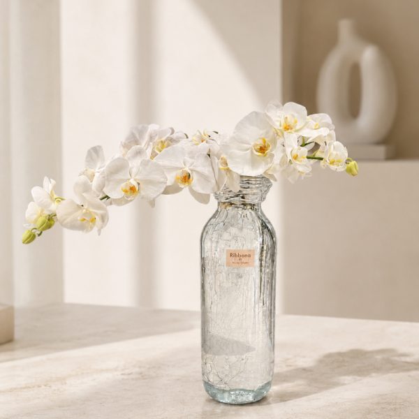 جار گل ارکیده سفید Ribbona   کد 216