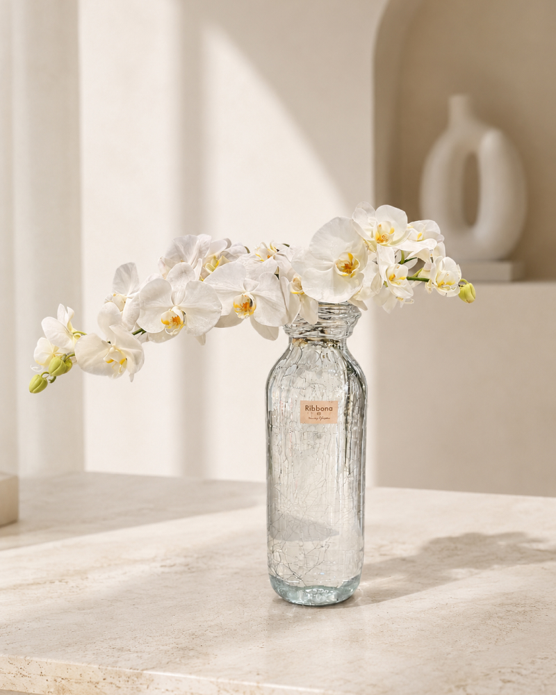 جار گل ارکیده سفید Ribbona کد 216